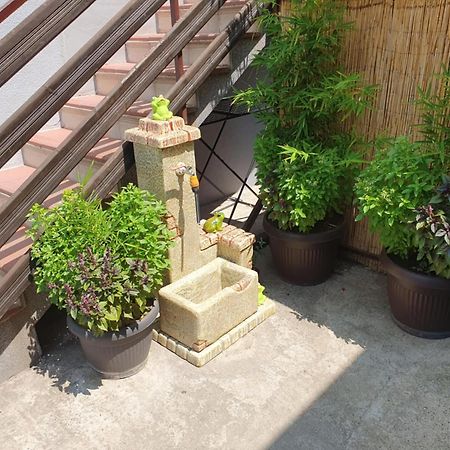 Apartman Djokic 2 Požarevac エクステリア 写真