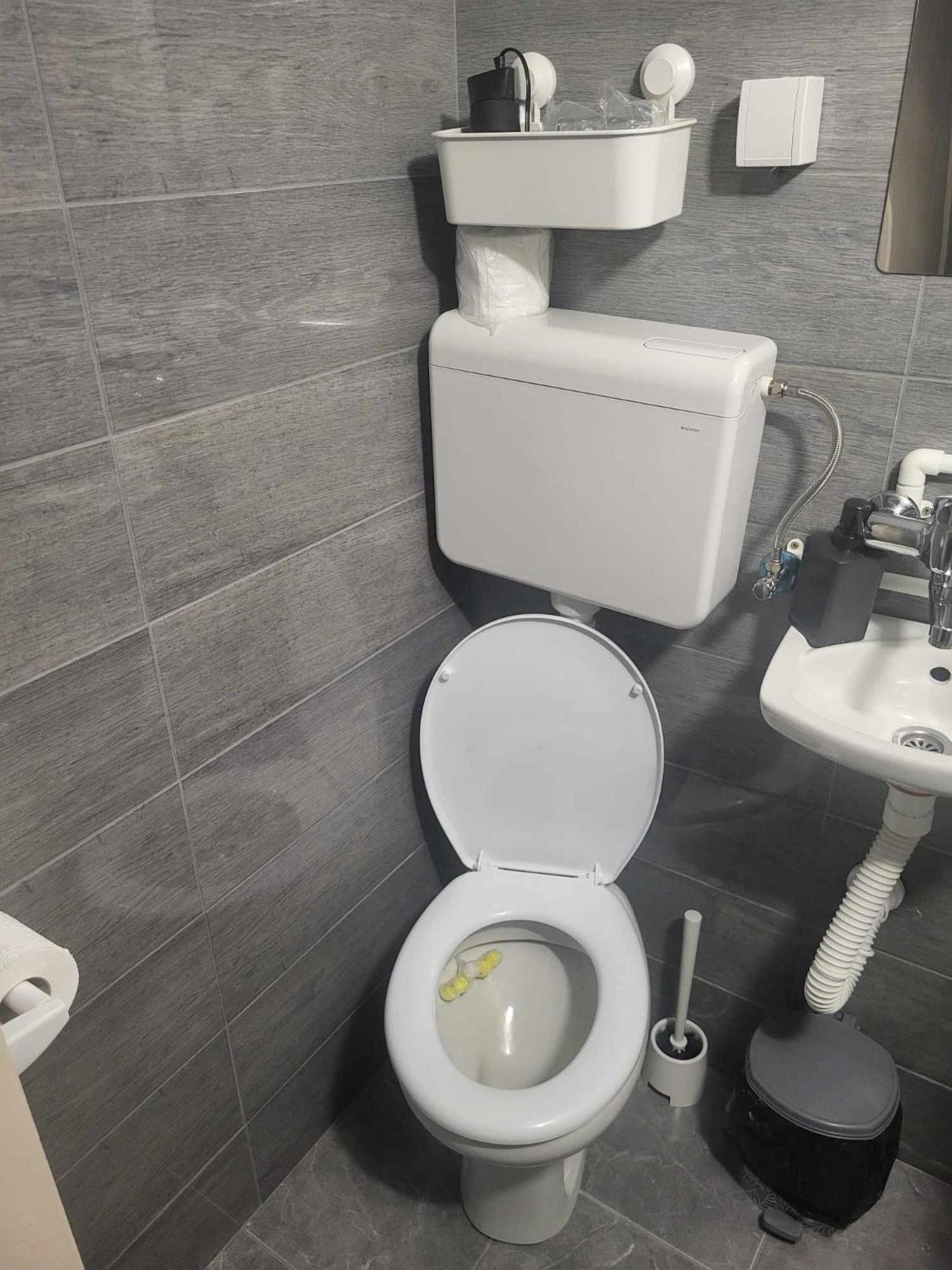 Apartman Djokic 2 Požarevac エクステリア 写真