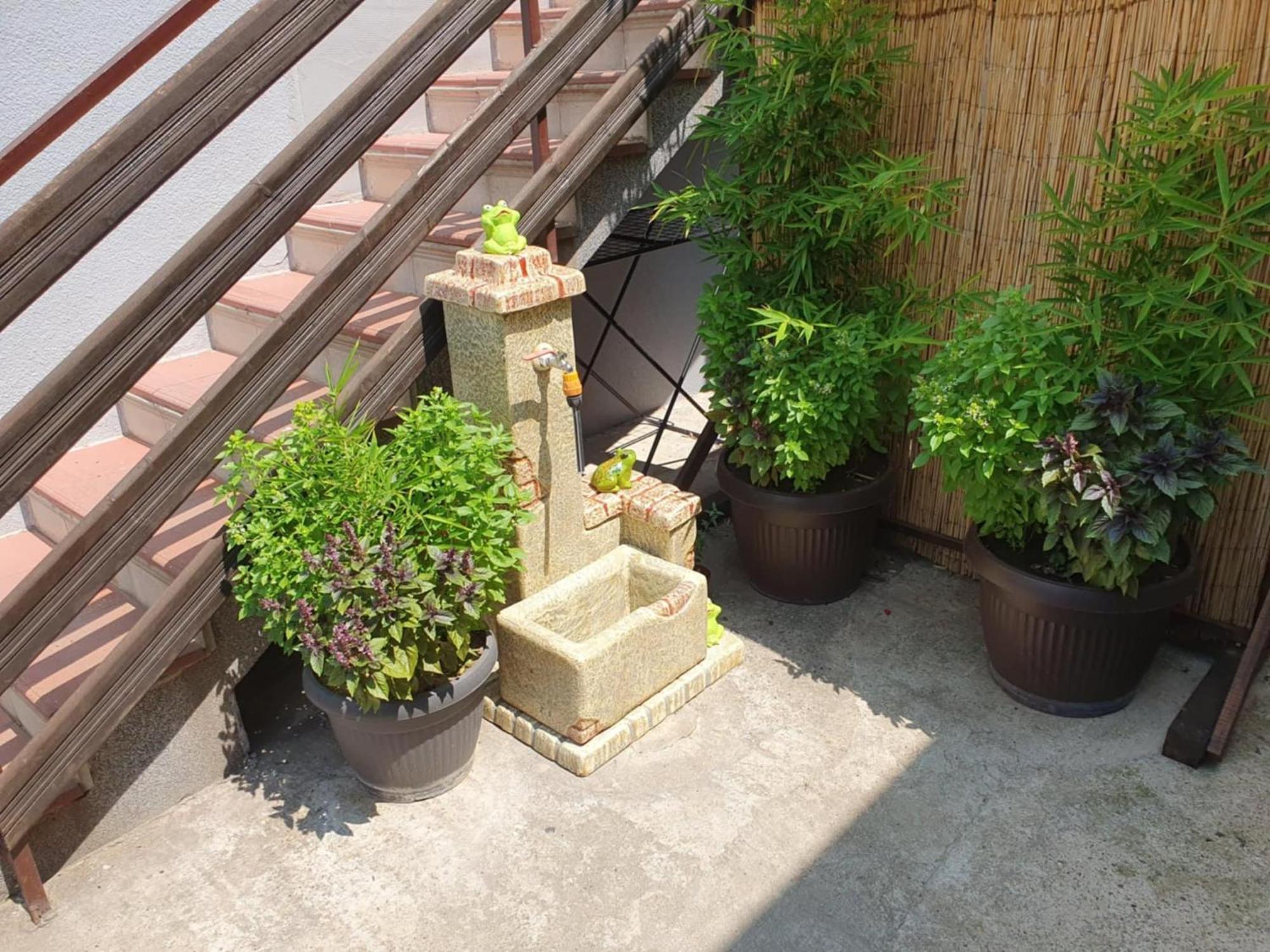 Apartman Djokic 2 Požarevac エクステリア 写真
