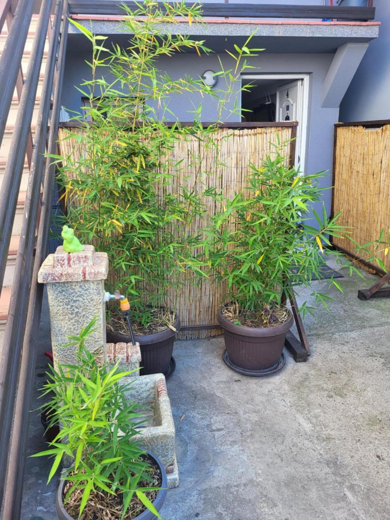 Apartman Djokic 2 Požarevac エクステリア 写真
